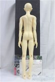 画像5: BJD CROBI/M-line　Ys B/BJD　球体関節人形 I-25-10-12-004-KD-ZI (5)