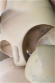 画像9: RSDOLL/1/3/NEW EVAN　ライトタン/BJD　球体関節人形 I-25-10-12-003-KD-ZI (9)