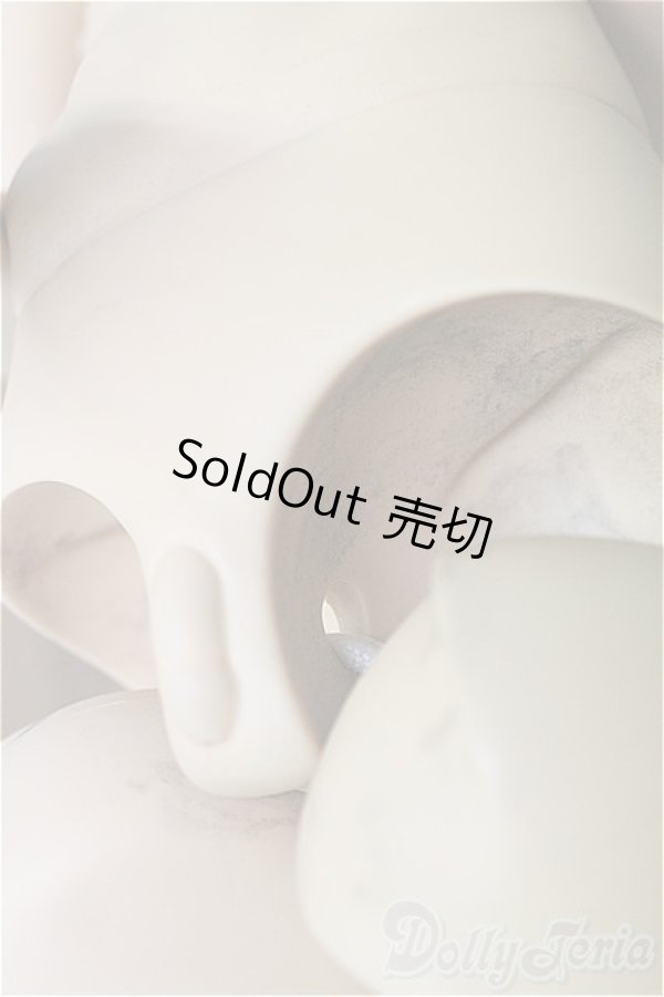 画像9: RSDOLL/1/3/NEW EVAN　ライトタン/BJD　球体関節人形 I-25-10-12-003-KD-ZI (9)