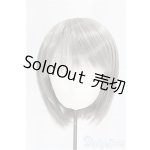 画像: 9inch/ウィッグ　シルバー/インチ　BJD　MJD　ドール用 I-25-09-14-042-KD-ZI