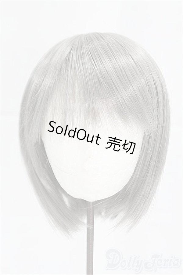 画像1: 9inch/ウィッグ　シルバー/インチ　BJD　MJD　ドール用 I-25-09-14-042-KD-ZI (1)