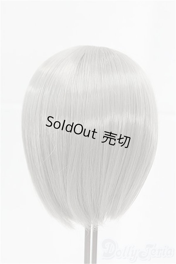 画像2: 9inch/ウィッグ　シルバー/インチ　BJD　MJD　ドール用 I-25-09-14-042-KD-ZI (2)