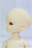 画像3: 幼SD/シン/BJD　球体関節人形 I-25-09-14-039-KD-ZI (3)