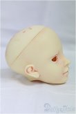 画像2: SD/教室Aヘッド/BJD　球体関節人形 I-25-09-14-038-KD-ZI (2)