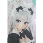 画像: azone/1/3アイリスコネクト:レイラ/もふもふカフェヘようこそ♪(いつものオオカミメイドver.)/0 I-25-09-28-207-KD-ZI