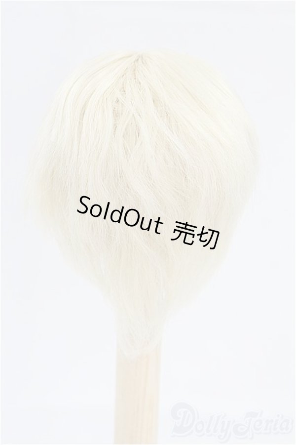 画像2: 6-7inch/ウィッグ　Rosen Lied　Tuesday's Child 火曜子サイズ I-25-09-07-150-KD-ZI (2)