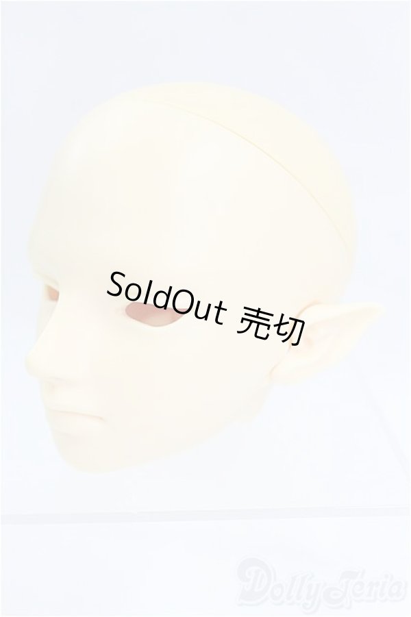 画像2: SD/F-30ヘッド　 I-25-09-07-059-KD-ZI (2)