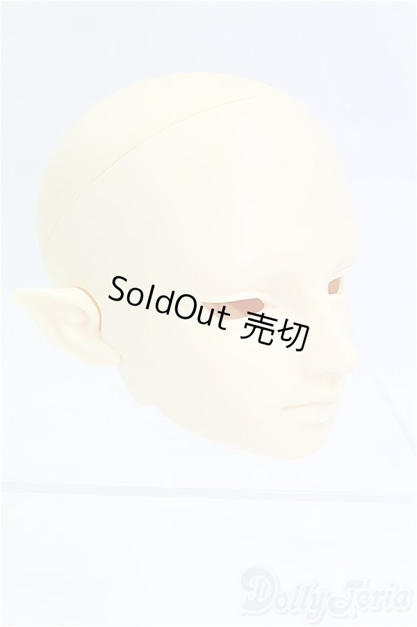 画像3: SD/F-30ヘッド　 I-25-09-07-059-KD-ZI (3)