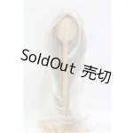 画像: 9-10inch/ウィッグ VOLKS製 I-25-09-07-145-KD-ZI