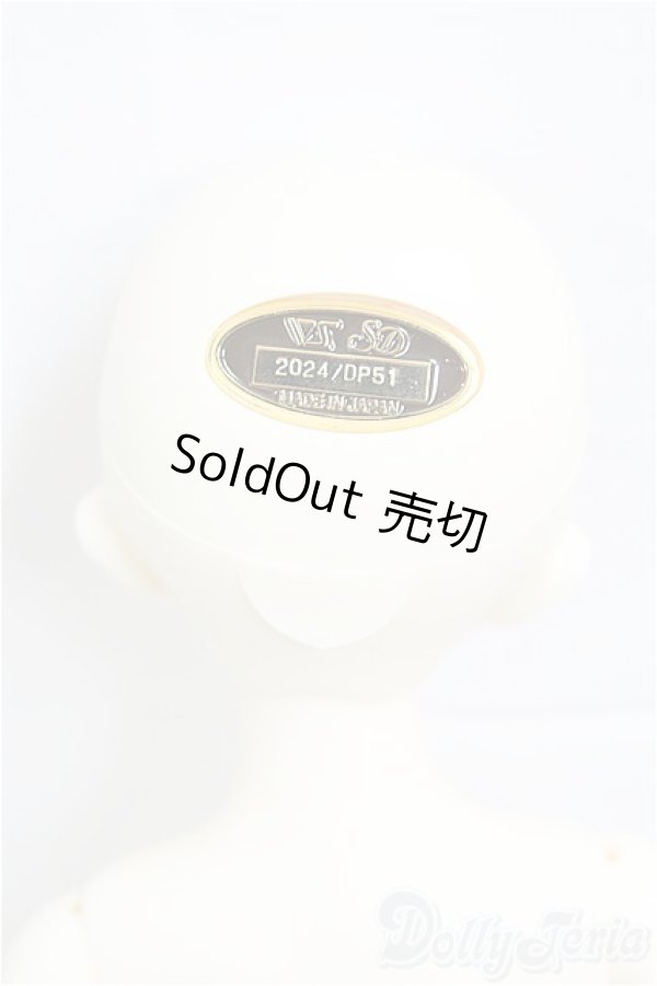 画像6: SDM女の子/ここ〜10周年記念Ver.〜 I-25-09-07-102-KD-ZI (6)