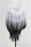 画像2: 8-9inch/ウィッグ　Pigg Doll様/インチ　BJD　MJD　ドール用 I-25-09-14-053-KD-ZI (2)