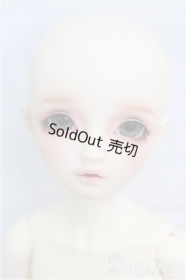 画像2: SDM女の子/F-61 アダプションモデル I-25-09-14-151-KD-ZI (2)