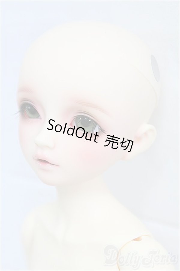 画像3: SDM女の子/F-61 アダプションモデル I-25-09-14-151-KD-ZI (3)