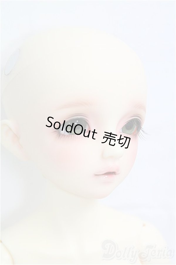 画像4: SDM女の子/F-61 アダプションモデル I-25-09-14-151-KD-ZI (4)