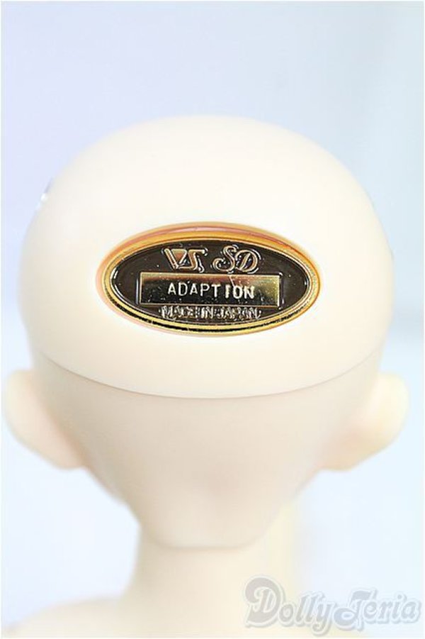 画像5: SDM女の子/F-61 アダプションモデル I-25-09-14-151-KD-ZI (5)