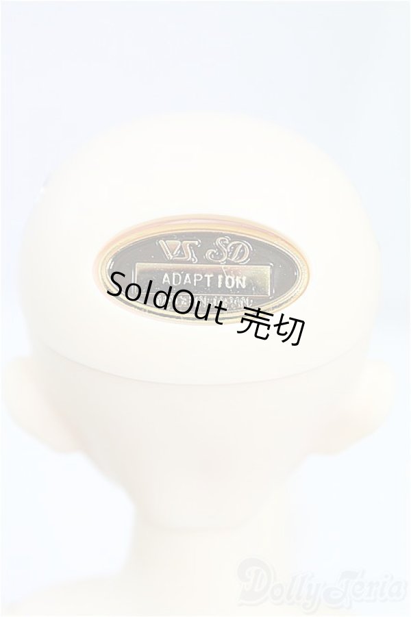 画像5: SDM女の子/F-61 アダプションモデル I-25-09-14-151-KD-ZI (5)