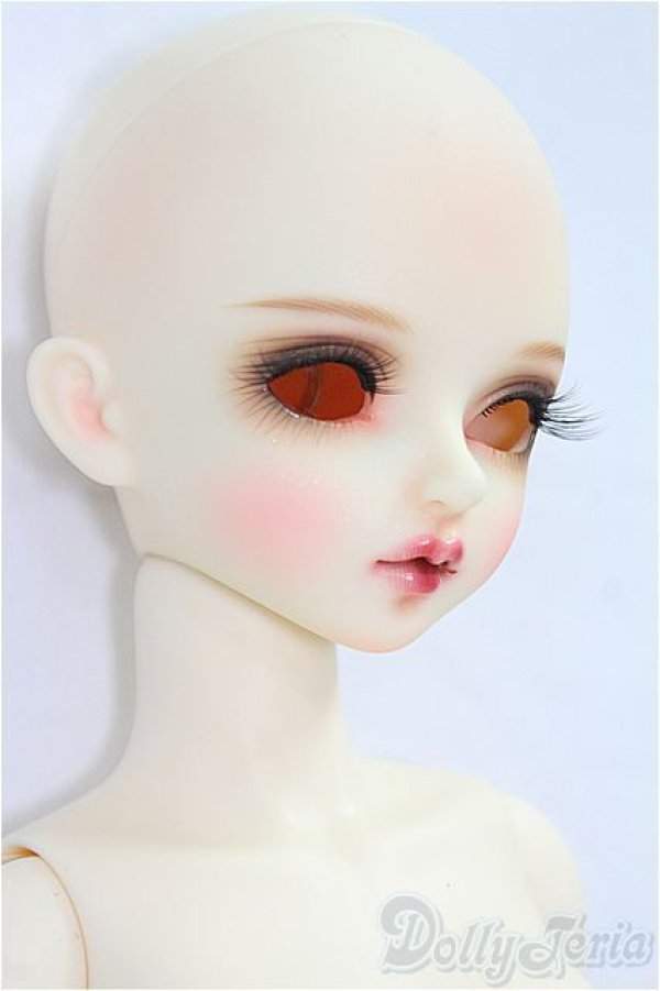 画像4: DOLK×ローゼンメイデン:真紅キャストドール I-25-09-14-250-KD-ZI (4)