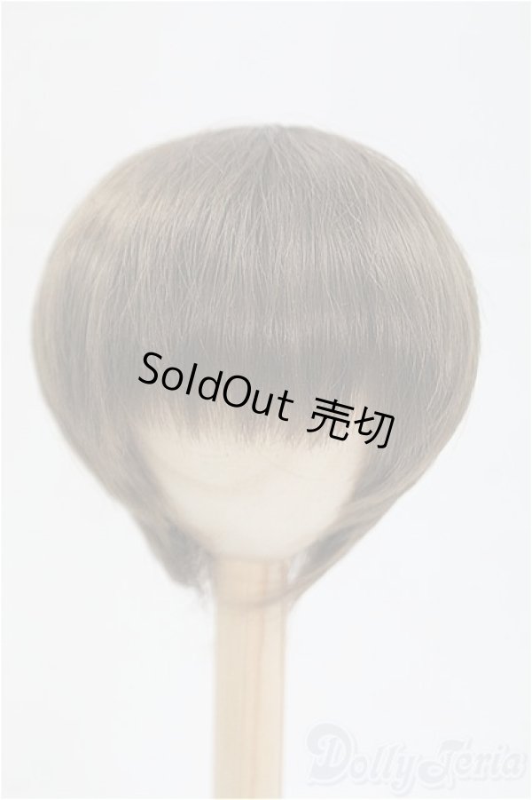 画像1: 8-9inch/ウィッグ I-25-09-14-293-KD-ZI (1)