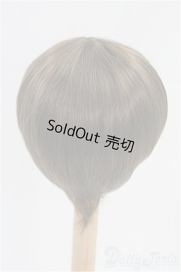 画像2: 8-9inch/ウィッグ I-25-09-14-293-KD-ZI (2)