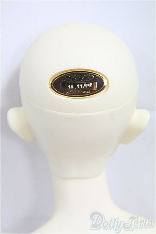 画像5: SDGｒBOY/フルチョイス：SD-F-49 I-25-09-21-002-KD-ZI (5)