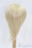 画像2: 9-10inch/ウィッグ I-25-09-14-295-KD-ZI (2)