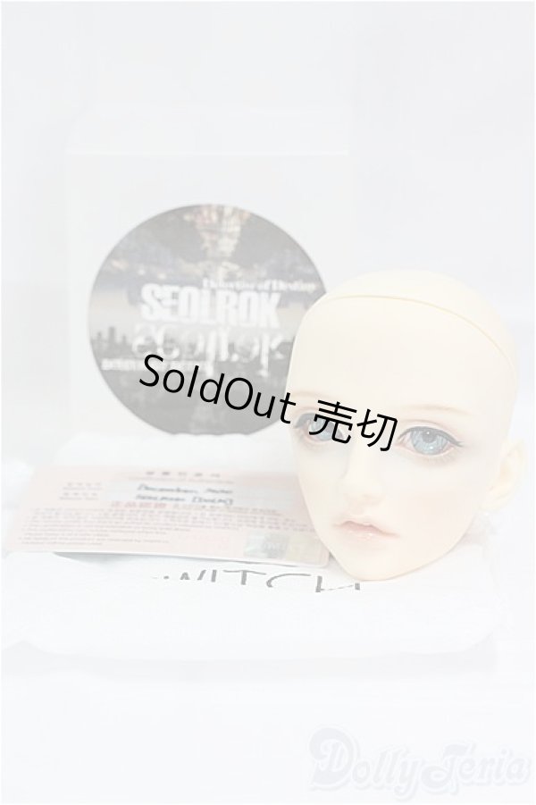 画像5: SWITCH/SEOLROK カスタムヘッド/BJD　球体関節人形 I-25-09-21-058-KD-ZI (5)