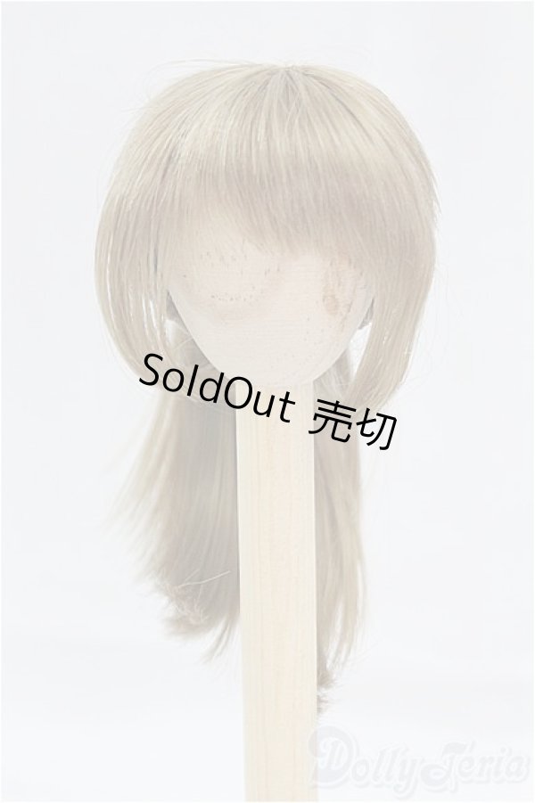 画像1: 6inch/ウィッグ ポニーテール/インチ　BJD　MJD　ドール用 I-25-09-21-113-KD-ZI (1)