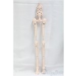 画像: MDD/内部フレーム　セミホワイト I-25-09-28-112-KD-ZI