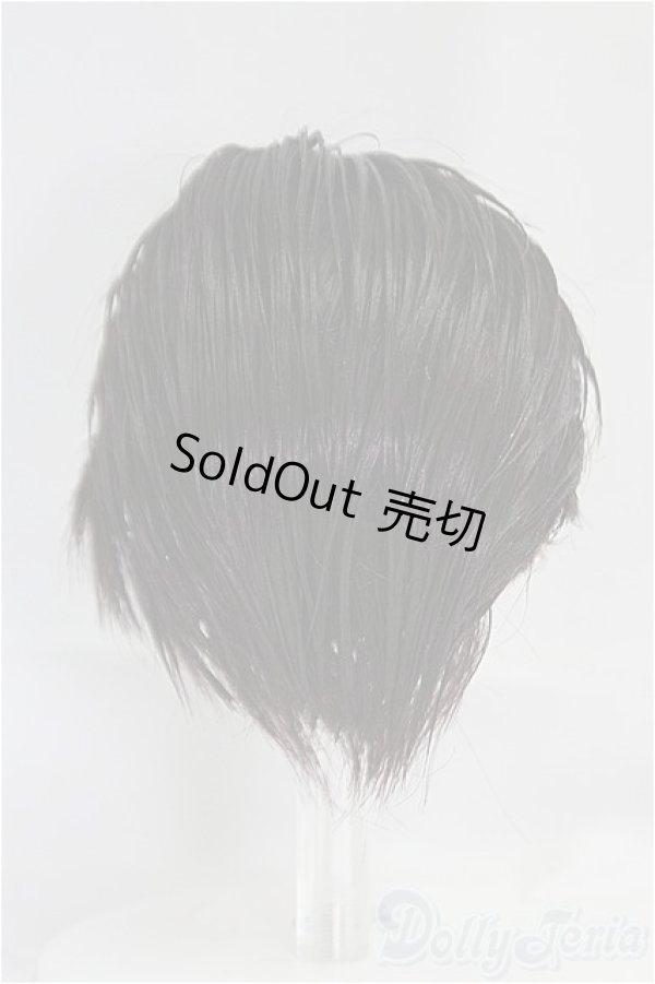 画像4: 7-8inch/ウィッグ　the best suits for cain　限定ウィッグ　ショート I-25-09-28-146-KD-ZI (4)