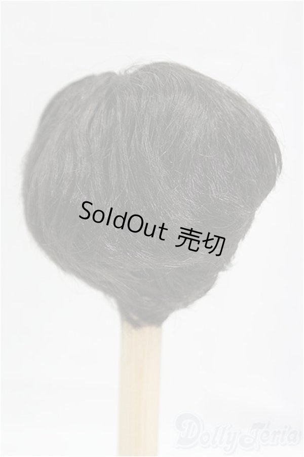 画像2: 7-8inch/ウィッグ I-25-09-28-100-KD-ZI (2)