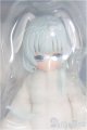 画像: AZONE/『ミミーガーデン博物誌』ミミエル I-25-09-21-247-KD-ZI