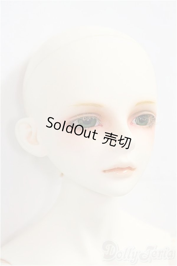 画像4: LUTS/Senior65 Delf DIEZ Limited カスタム I-25-09-28-151-KD-ZI (4)