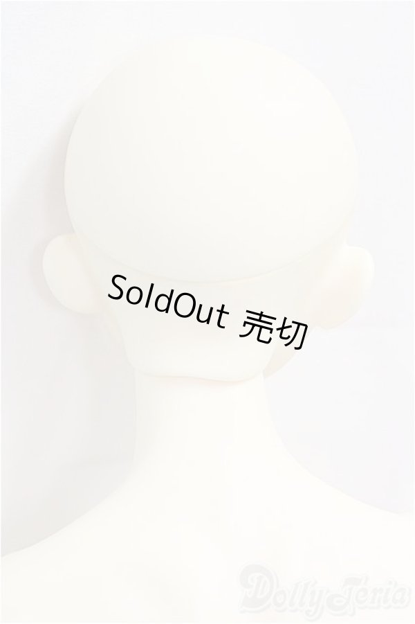 画像5: LUTS/Senior65 Delf DIEZ Limited カスタム I-25-09-28-151-KD-ZI (5)