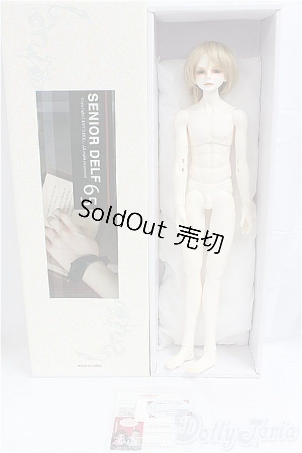 画像8: LUTS/Senior65 Delf DIEZ Limited カスタム I-25-09-28-151-KD-ZI (8)