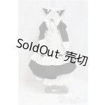 画像: MDD/OF:衣装セット　M+Vstudio  I-25-10-05-091-KD-ZI