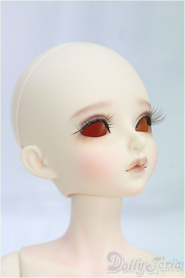 ティティアン・ピール、「CANIS LUPUS」、海外版超希少レゾネ、新品額付 MYOUDOLL/1/4/Delia - Tomboy Style Limited -/BJD 球体関節人形
