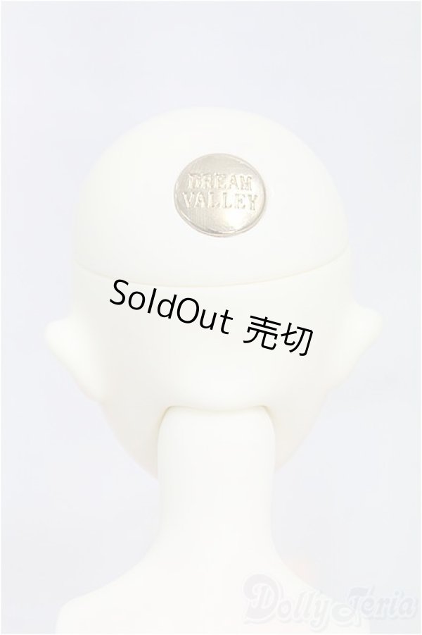 画像4: Dream Valley/Silence/BJD　球体関節人形 I-25-10-12-014-KD-ZI (4)