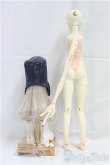 画像6: Dream Valley/Silence/BJD　球体関節人形 I-25-10-12-014-KD-ZI (6)