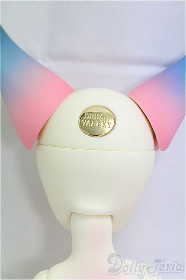 画像4: Dream Valley/Ann/BJD　球体関節人形 I-25-10-12-012-KD-ZI (4)