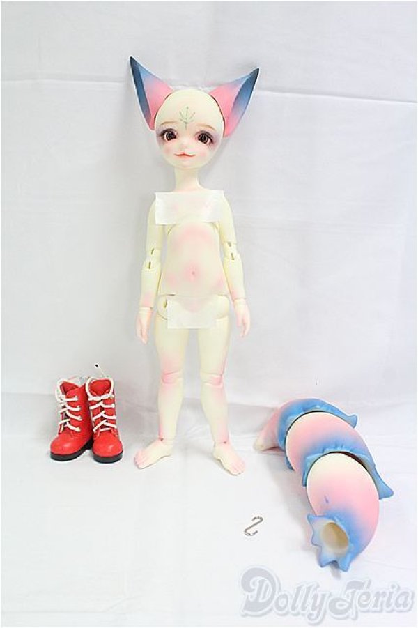 画像5: Dream Valley/Ann/BJD　球体関節人形 I-25-10-12-012-KD-ZI (5)