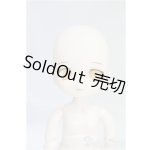 画像: DOLLCE/ミニスウィーツドール:スノーローズマリー I-25-10-05-136-KD-ZI