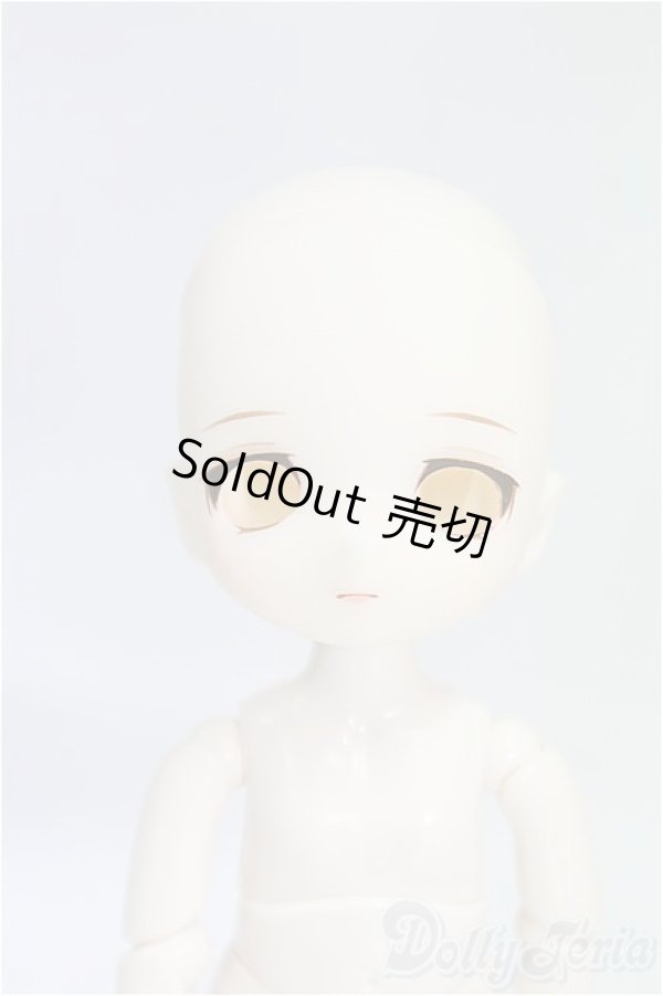 画像1: DOLLCE/ミニスウィーツドール:スノーローズマリー I-25-10-05-136-KD-ZI (1)