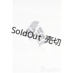 画像: azoneピュアニーモ/OF:1/6mサイズドール 靴/0 I-25-10-05-200-KD-ZI