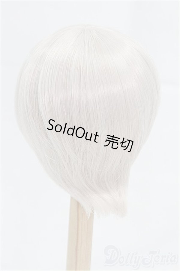 画像2: 9inch/ウィッグ/インチ　BJD　MJD　ドール用 I-25-10-05-291-KD-ZI (2)