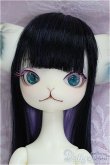 画像1: 【DOLK×DOLL ZONE】Miss Kitty Twinkle Star/BJD　球体関節人形 I-25-10-12-146-KD-ZI (1)