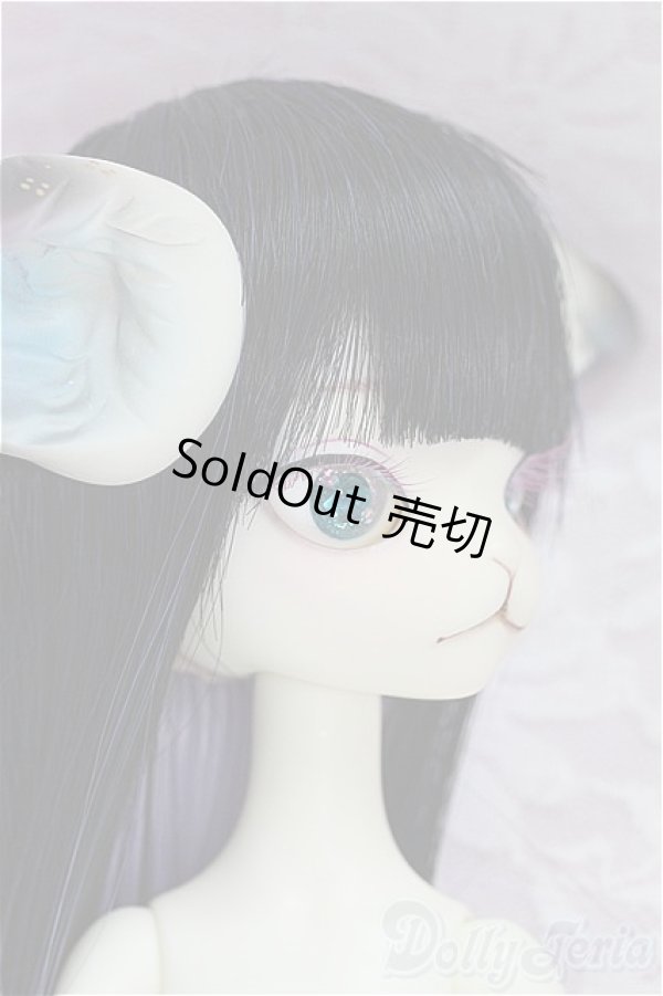 画像2: 【DOLK×DOLL ZONE】Miss Kitty Twinkle Star/BJD　球体関節人形 I-25-10-12-146-KD-ZI (2)