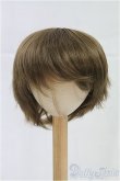 画像1: 9inch/ウィッグ/インチ　BJD　MJD　ドール用 I-25-10-05-241-KD-ZI (1)
