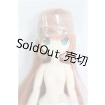 画像: azone/リルフェアリー リプー ひつじ年のこひつじさん I-25-10-05-017-YB-ZI