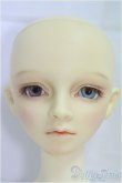 画像2: SDGIRL/マーシャ　カスタム/BJD　球体関節人形 I-25-10-12-001-KD-ZI (2)