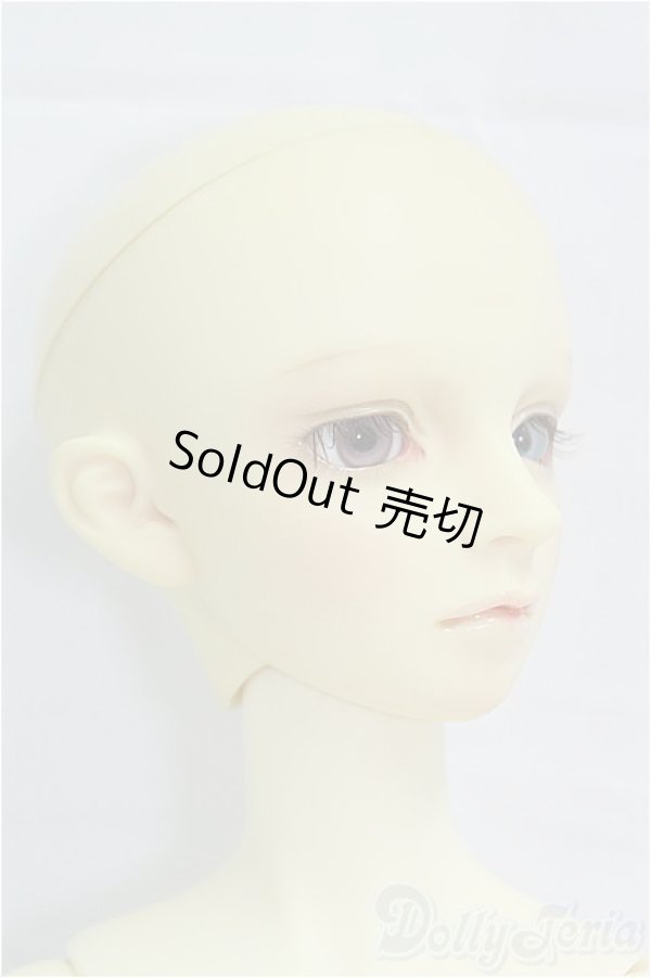 画像3: SDGIRL/マーシャ　カスタム/BJD　球体関節人形 I-25-10-12-001-KD-ZI (3)